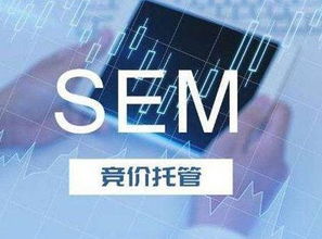 SEM競價托管服務(wù) 技術(shù)推廣的新引擎
